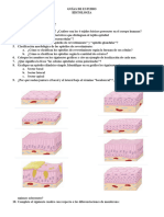 Guías de Estudio Histología