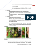 10epidemiología Vectoriales 03092023 NUEVO-2