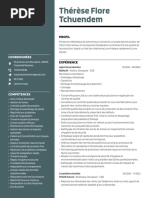 Tchuendem CV