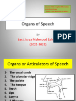 Organs of Speech: Lect. Israa Mahmood Salman (2021-2022)