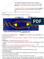 Gene Replication and Molecular Mutation