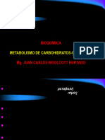 S7.1. MetabolismoCarbGlucolisis