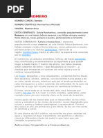 Documento Yisi