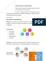 Clasificacion de Las Sensaciones-1