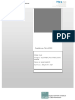 Rapport HES ETE 2-III - GR1 - Poutre