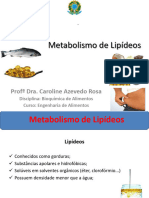 Metabolismo de Lipídeos.