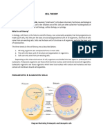 Understanding The Concept of Cell