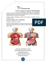 Guia de Anatomia General