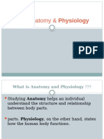 Basic Anatomy Physiology