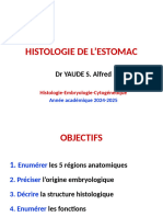 SYSTÈME DIGESTIF - Estomac 2-1