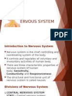 Nervous System