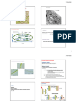 CH6 Chloroplastes PDF