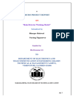 Rain Detector Working Model Report