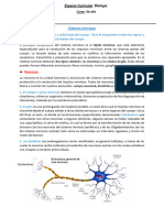 Sistema Nervioso-1