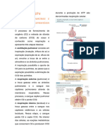 UCT17-SP4: 1-Fisiologia Pulmonar E Insuficiencia Respiratória Aguda