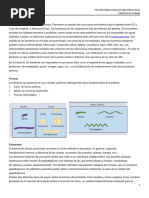 2-Bacterias. Material de Trabajo