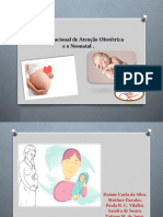 Politica Nacional de Atenção Obstétrica e o Neonatal