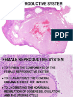 Sistema Reprodutor Feminino