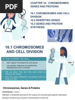 Y11 Chromosomes Gene Protein (Auto-Saved)