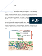 Lymphatic and Immune System