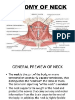 Anatomy of Neck