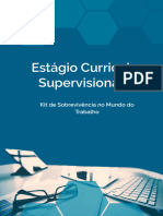 Estágio Curricular Supervisionado: Kit de Sobrevivência No Mundo Do Trabalho