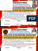 Attestation Vague 3 2024 PDF