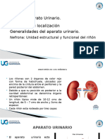 Tema 14. Sistema Urinario