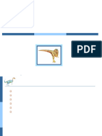 Lecture 5-6 ch3 Precesses