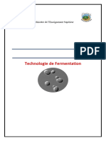 Rapport Fermentation1