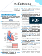 Sistema Cardiovascular