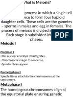 Meiosis