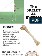 G4 Q2 - Skeletal System