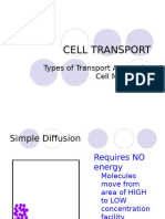 Cell Transport