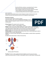 Excretion in Animalstype Question