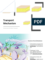 Lecture 7-Transport Mechanism