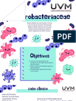 Enterobacteriaceae