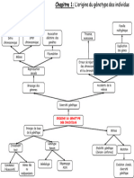 Carte Mentale Élève Chapitre 1