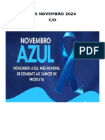 DSS Novembro Turma A .B 2024