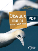 Oiseaux Marins Entre Ciel Et Mers