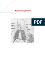 3.l'appareil Respiratoire