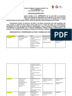 Plan Analitico