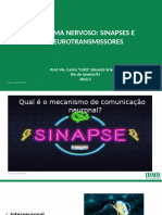 Aula 7 - Sinapse e Neurotransmissores-1