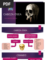 Cabeza Osea y Macizo Facial