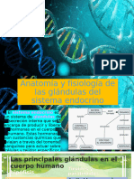 Anatomía y Fisiología de Las Glándulas Del Sistema1