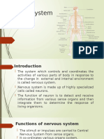 Nervous System - PPTX New