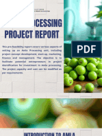 Amla Processing Project Report