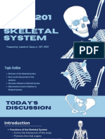 MTRT 201 Skeletal System