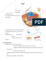 Chapter 3 Lecture Notes 2