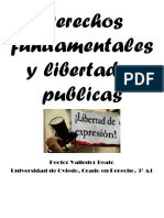 Derechos Fundamentals y Libertades Publicas